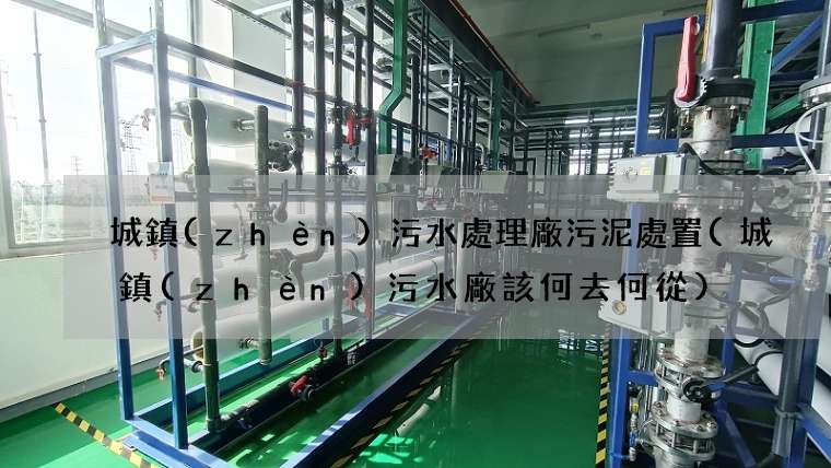 城鎮(zhèn)污水處理廠污泥處置(城鎮(zhèn)污水廠該何去何從)